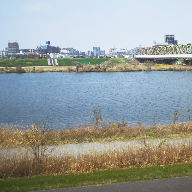 訪問診療対象エリアの江戸川区の風景